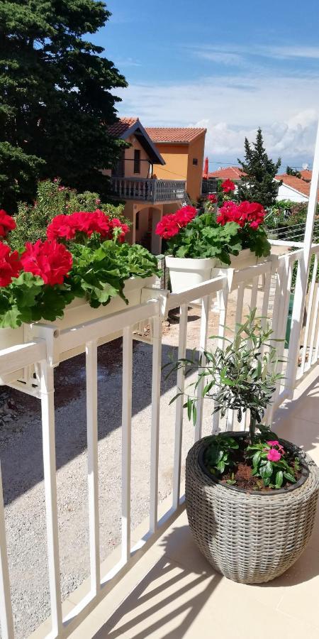 Apartments Kus Ugljan Zewnętrze zdjęcie